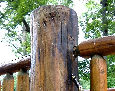 Discolored rotten log railing post