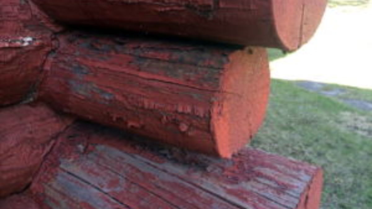 Log Home Problems Why You Shouldn t Paint a Log Home