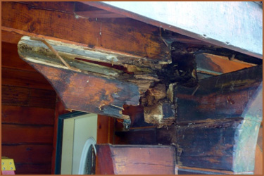 Log Home Needing Restoration