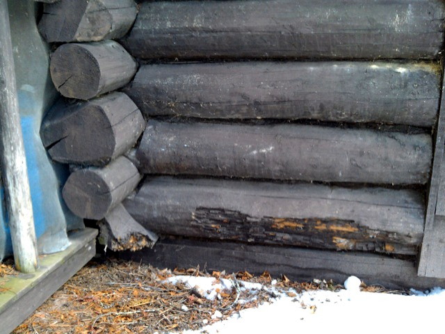 Replacing Logs On A 1900 s Historic Home Edmunds And Company