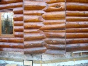 Rotten logs