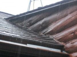 Wet logs on roof
