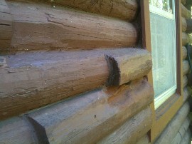 cabin log shelf problem