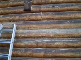 Darkened Logs
