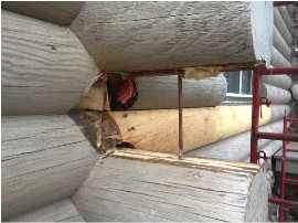 Turned Logs 4