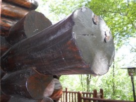 Extended Crown