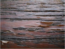 Finish peeling off of a piece of wood.