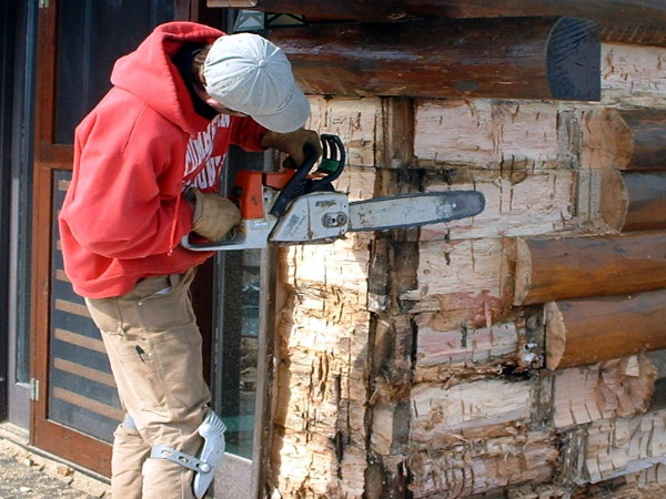 Rot being cut out of a log.
