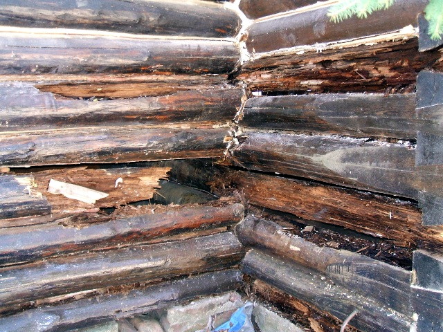 Rotten logs on a log home that need replacing.
