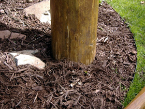 A log post that is too close to the ground; moisture and rot are imminent.