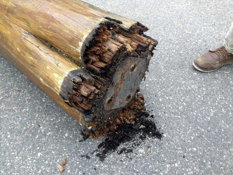 Rotten Log Post Repair | Edmunds and Company