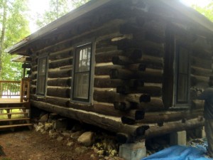 These are fairly large chink lines. It takes some expertise to be able to re-chink them so they look good and create a proper seal with the logs.