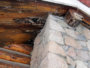 rotten logs around chimney