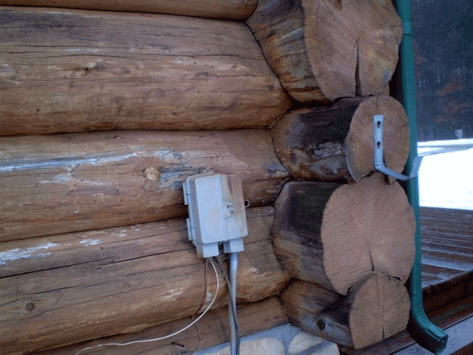 dark areas signal of rotting wood