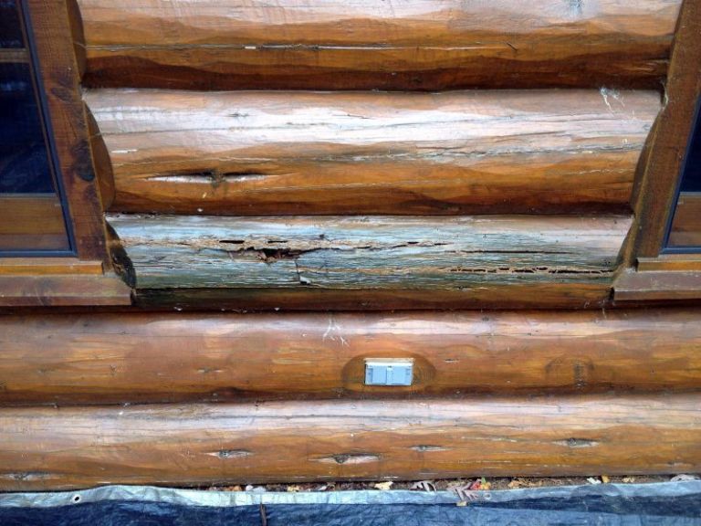 Log Rot Repair Services Dry Rot Rotten Posts Edmunds and Company