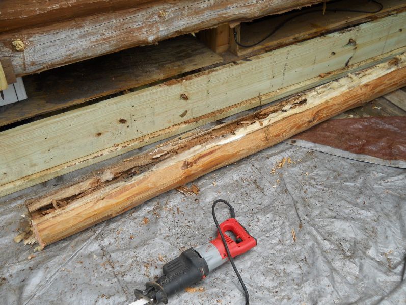 Replaced rim joist and sill plate