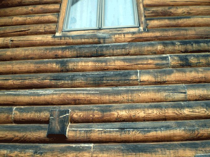 Discolored log stain covering rot