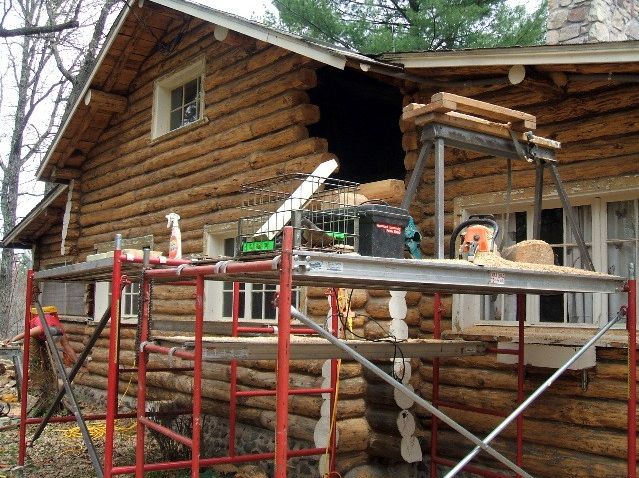 Removing the rotted logs