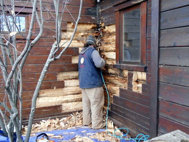 Removing all rotten log material