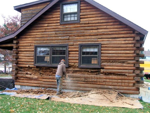 Removing rotten log