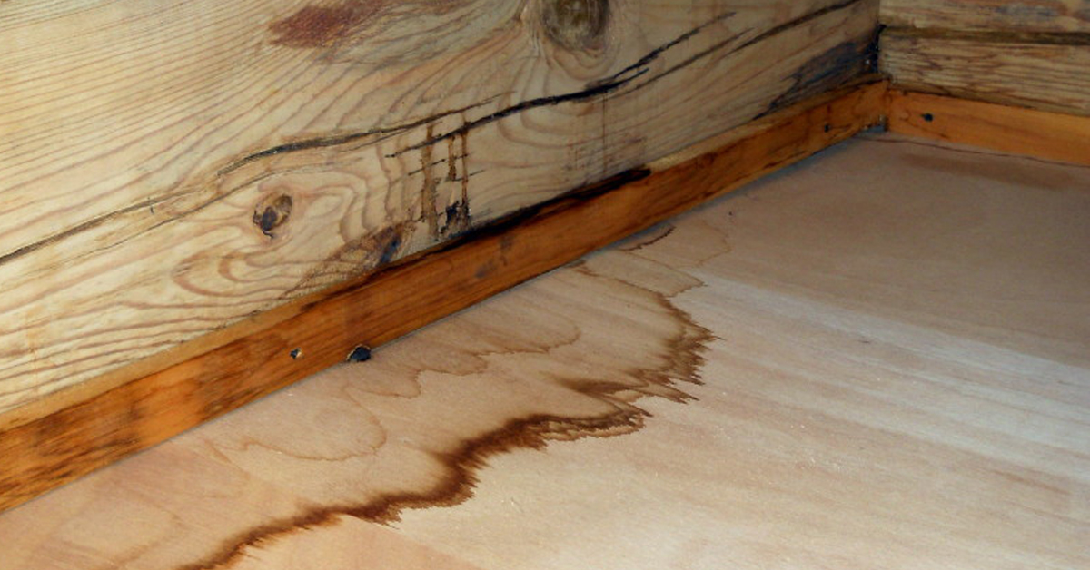 Water leaked inside this log cabin and caused major staining on the interior logs.